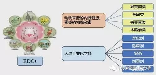 内分泌干扰物/四大新污染物之EDCs的健康风险